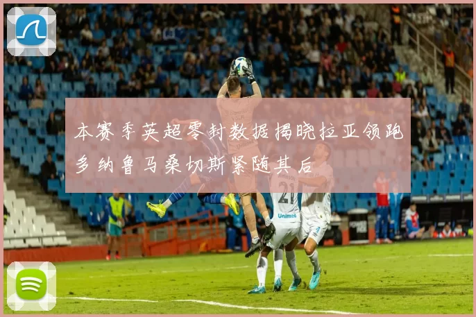 本赛季英超零封数据揭晓拉亚领跑多纳鲁马桑切斯紧随其后